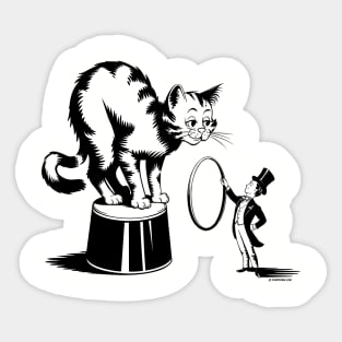 Circus Cat Sticker